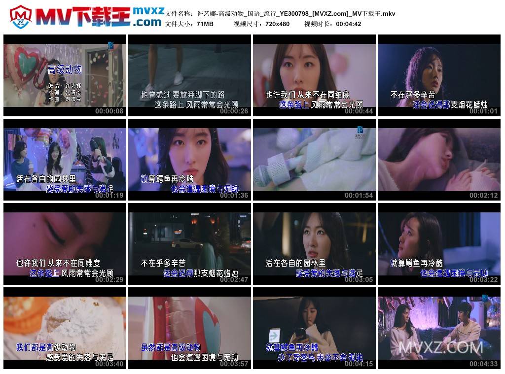 许艺娜-高级动物_国语_流行_YE300798